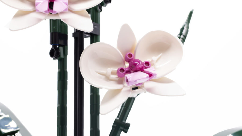 LEGO Botanical Collection 10311 Orchid 17 1024x576