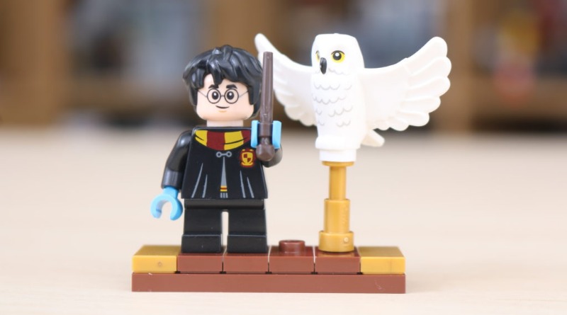 LEGO Harry Potter 2021 set details appear online